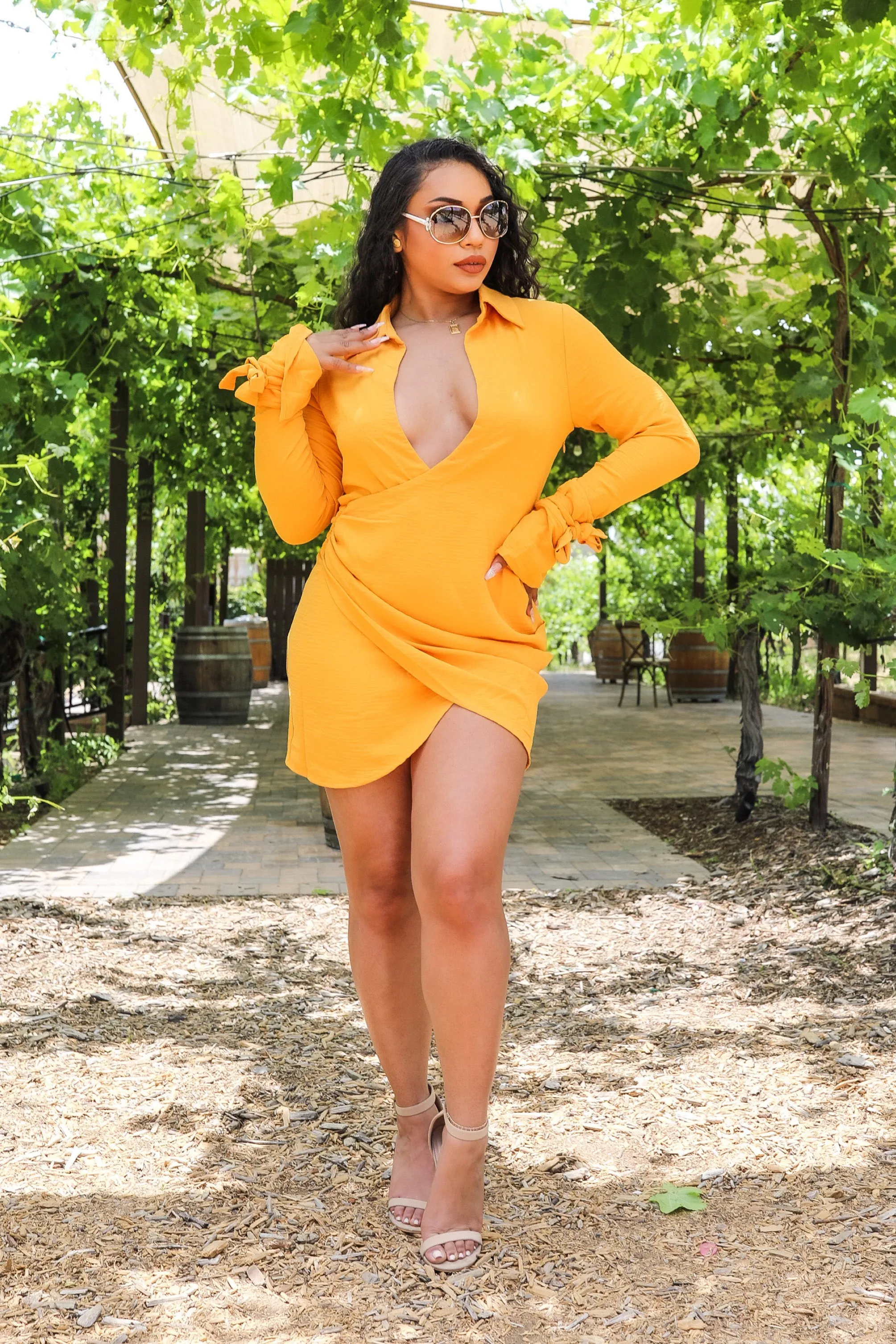 Deep V Neckline Wrap Mini Dress